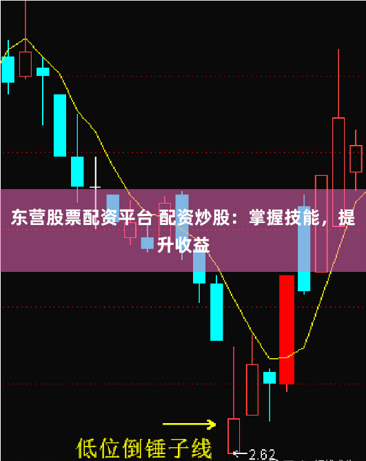 东营股票配资平台 配资炒股:掌握技能,提升收益