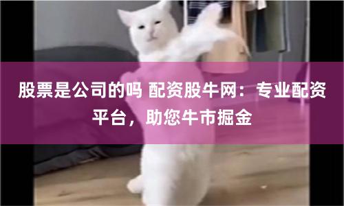 股票是公司的吗 配资股牛网:专业配资平台,助您牛市掘金